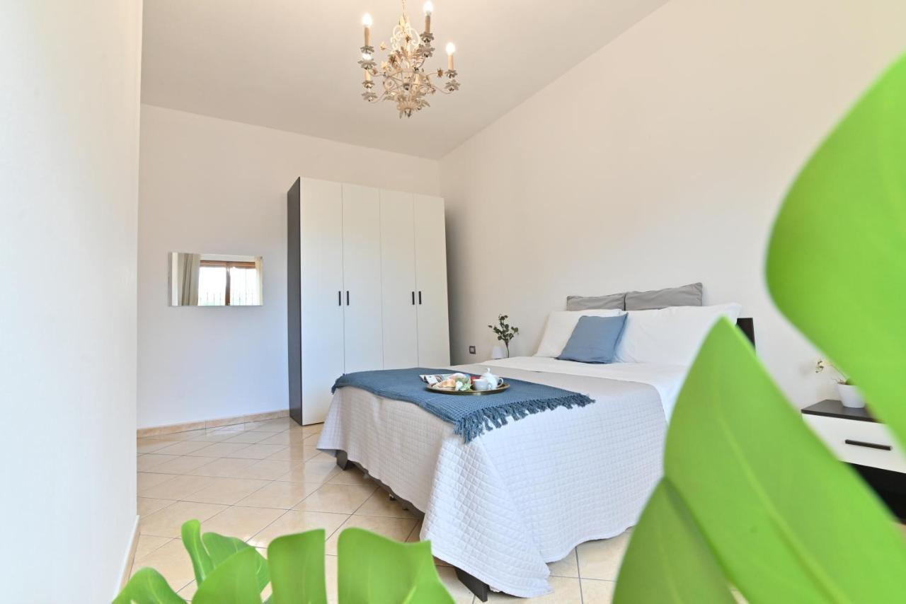 פולה Izzhome Flamingo מראה חיצוני תמונה